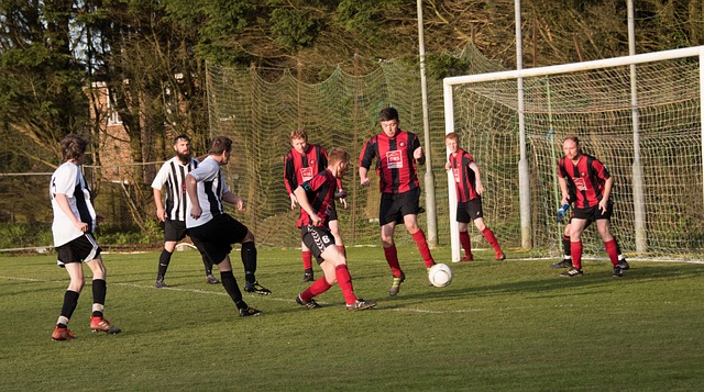 一应俱全 一应俱全