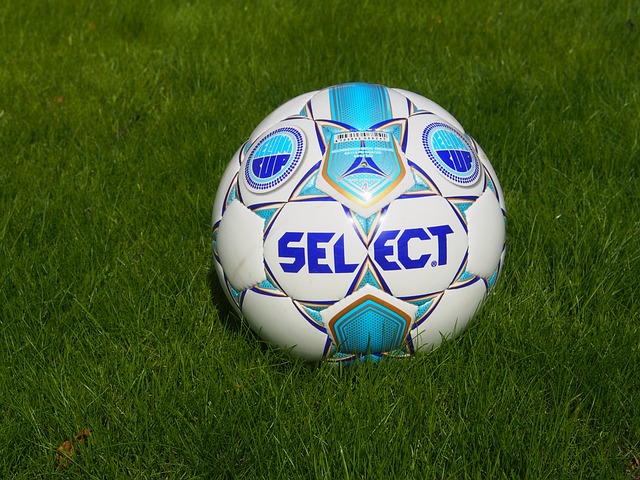 也为其他评 也为其他评