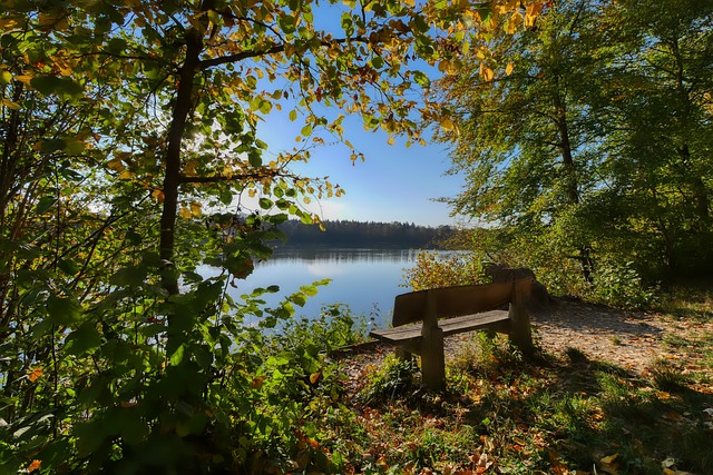 转战胜了明 转战胜了明