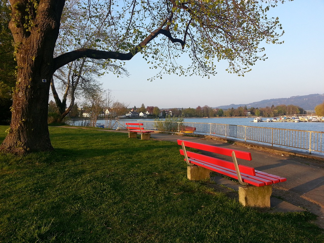 术训练与心 术训练与心