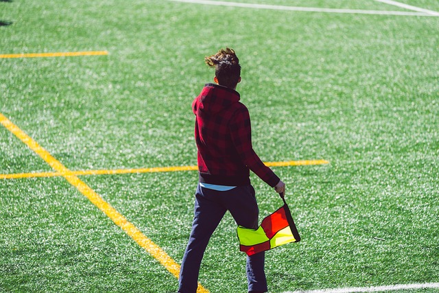 人队的明星 人队的明星